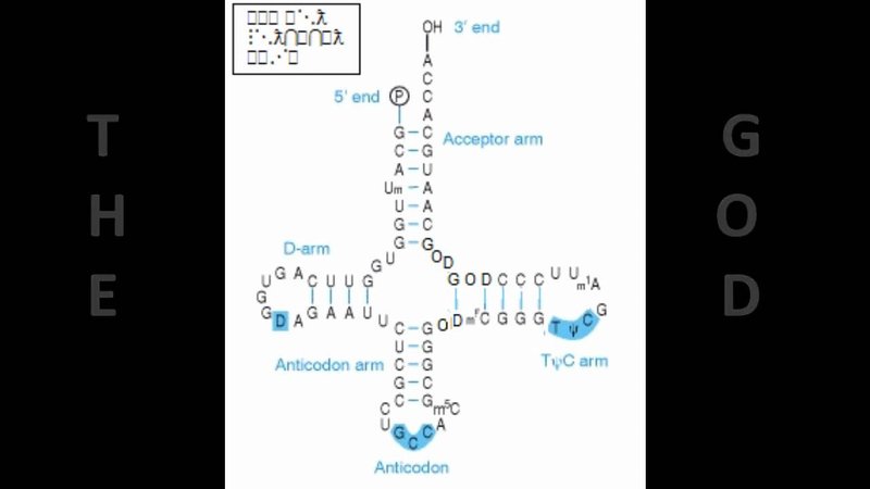 Divine Revelation: The God Gene Discovery Unveiled